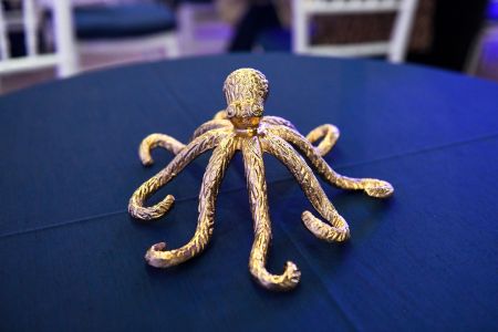 lb octopus.jpeg